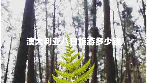 澳大利亞八日旅游多少錢 澳大利亞八日旅游多少錢