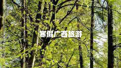 寒假廣西旅游