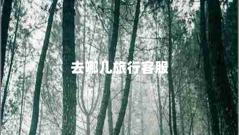 去哪兒旅行客服