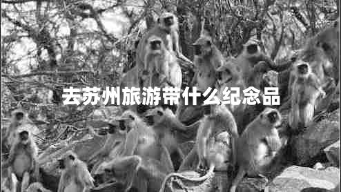 去蘇州旅游帶什么紀(jì)念品 去蘇州旅游帶什么紀(jì)念品