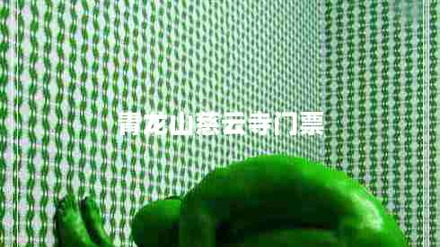 青龍山慈云寺門票 青龍山慈云寺門票