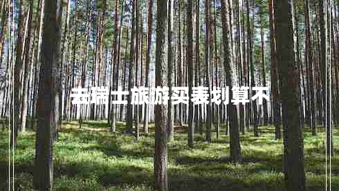 去瑞士旅游買(mǎi)表劃算不