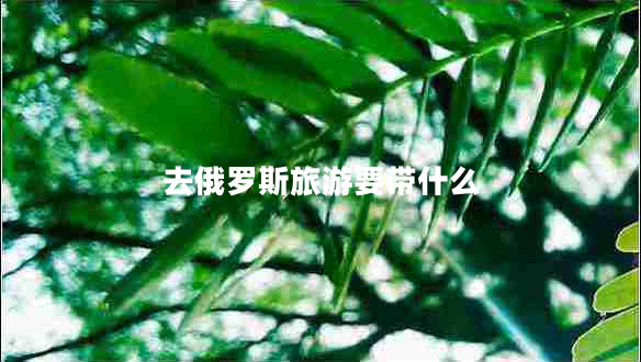 去俄羅斯旅游要帶什么 去俄羅斯旅游要帶什么