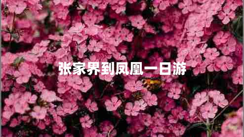 張家界到鳳凰一日游