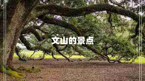 文山的景點(diǎn)