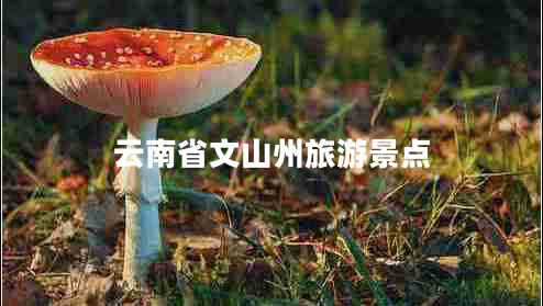 云南省文山州旅游景點(diǎn)