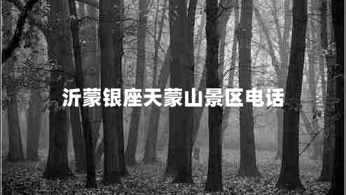 沂蒙銀座天蒙山景區(qū)電話 沂蒙銀座天蒙山景區(qū)電話