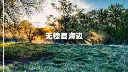 無棣縣海邊