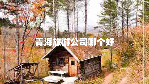 青海旅游公司哪個好 青海旅游公司哪個好