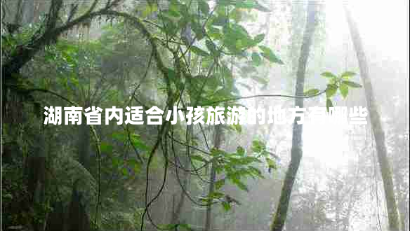 湖南省內(nèi)適合小孩旅游的地方有哪些