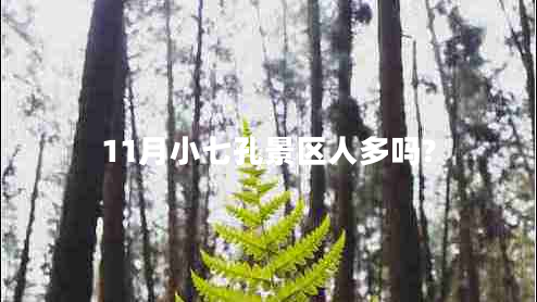 11月小七孔景區(qū)人多嗎?