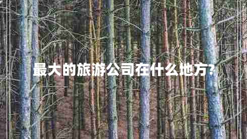 最大的旅游公司在什么地方? 最大的旅游公司在什么地方?