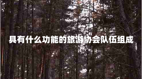 具有什么功能的旅游協(xié)會(huì)隊(duì)伍組成