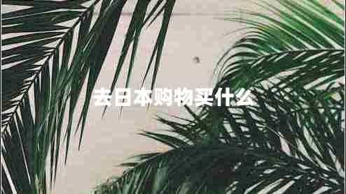 去日本購物買什么 去日本購物買什么