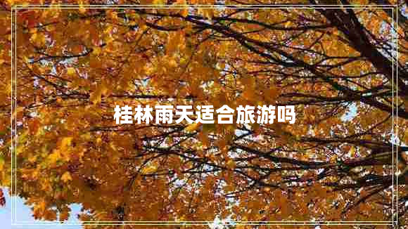 桂林雨天適合旅游嗎