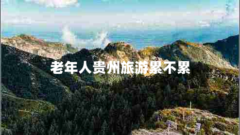 老年人貴州旅游累不累