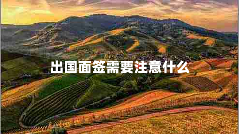出國面簽需要注意什么 出國面簽需要注意什么