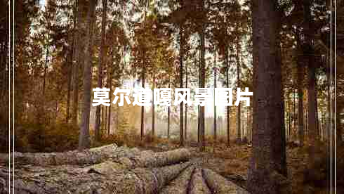 莫爾道嘎風景圖片