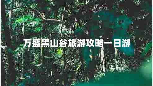 萬盛黑山谷旅游攻略一日游 萬盛黑山谷旅游攻略一日游