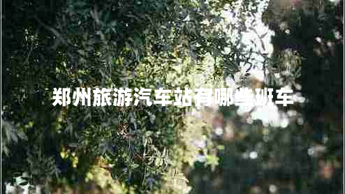 鄭州旅游汽車站有哪些班車