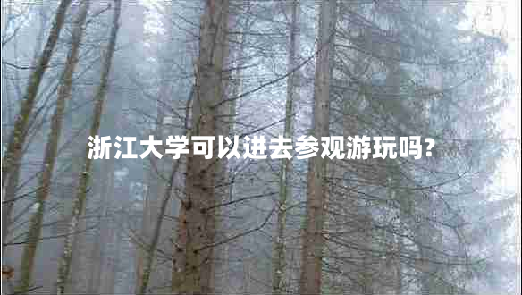 浙江大學可以進去參觀游玩嗎? 浙江大學可以進去參觀游玩嗎?