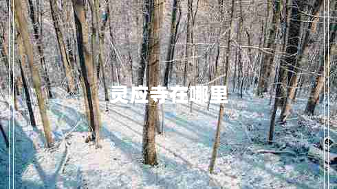 靈應(yīng)寺在哪里