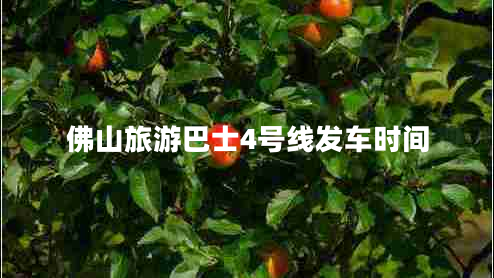 佛山旅游巴士4號線發(fā)車時間 佛山旅游巴士4號線發(fā)車時間