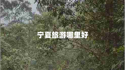 寧夏旅游哪里好 寧夏旅游哪里好