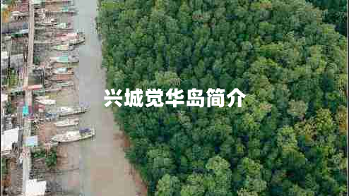 興城覺華島簡介 興城覺華島簡介