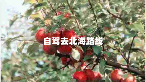 自駕去北海路線