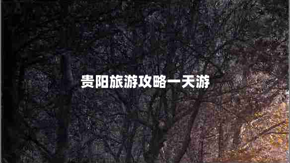 貴陽旅游攻略一天游 貴陽旅游攻略一天游