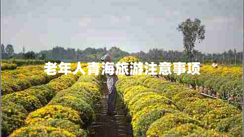 老年人青海旅游注意事項(xiàng)
