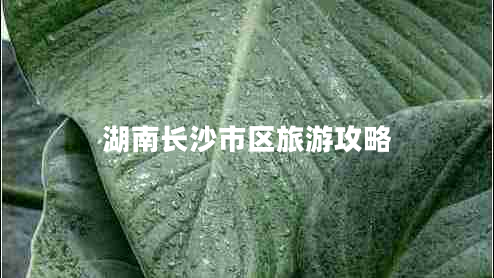 湖南長沙市區(qū)旅游攻略