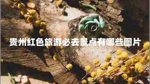 貴州紅色旅游必去景點(diǎn)有哪些圖片
