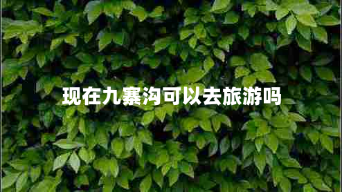 現(xiàn)在九寨溝可以去旅游嗎