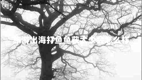 旅游出海打魚魚獲太少會(huì)怎么樣