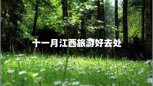 十一月江西旅游好去處 十一月江西旅游好去處