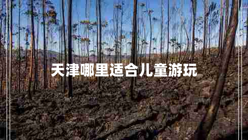 天津哪里適合兒童游玩