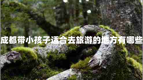 成都帶小孩子適合去旅游的地方有哪些 成都帶小孩子適合去旅游的地方有哪些