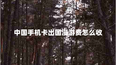 中國手機(jī)卡出國漫游費(fèi)怎么收
