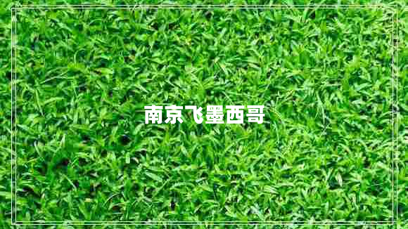 南京飛墨西哥 南京飛墨西哥