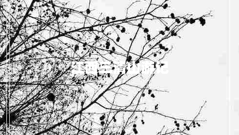 江西三清山游記 江西三清山游記