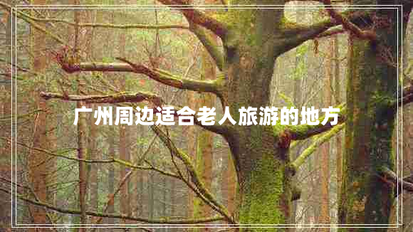 廣州周邊適合老人旅游的地方 廣州周邊適合老人旅游的地方