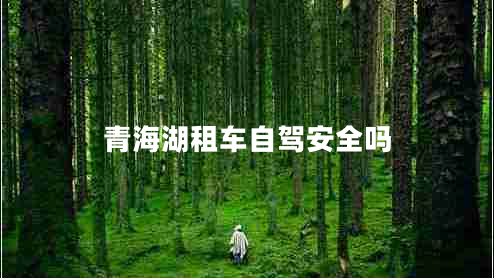 青海湖租車自駕安全嗎