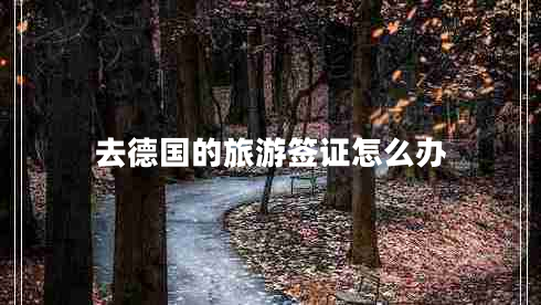 去德國的旅游簽證怎么辦