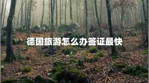 德國旅游怎么辦簽證最快
