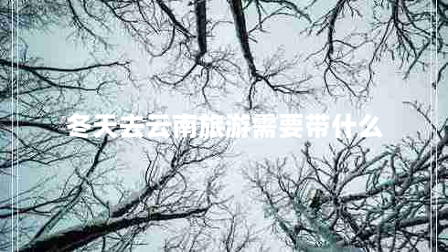 冬天去云南旅游需要帶什么