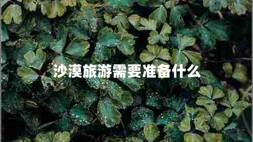 沙漠旅游需要準(zhǔn)備什么 沙漠旅游需要準(zhǔn)備什么