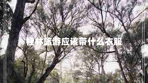 桂林旅游應(yīng)該帶什么衣服 桂林旅游應(yīng)該帶什么衣服