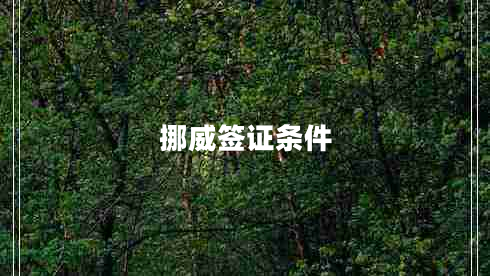 挪威簽證條件 挪威簽證條件